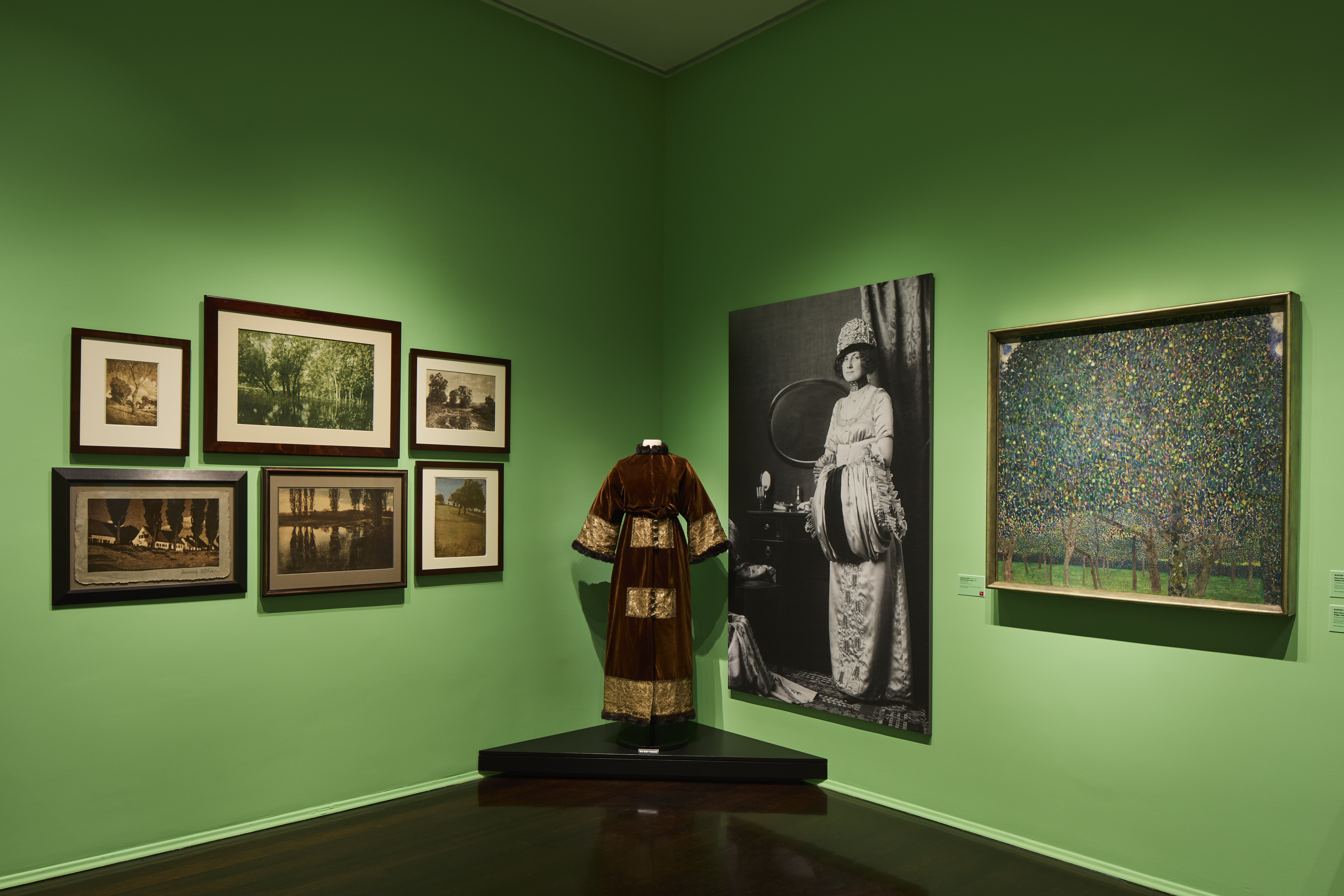 Klimt Landscapes Installation Views
